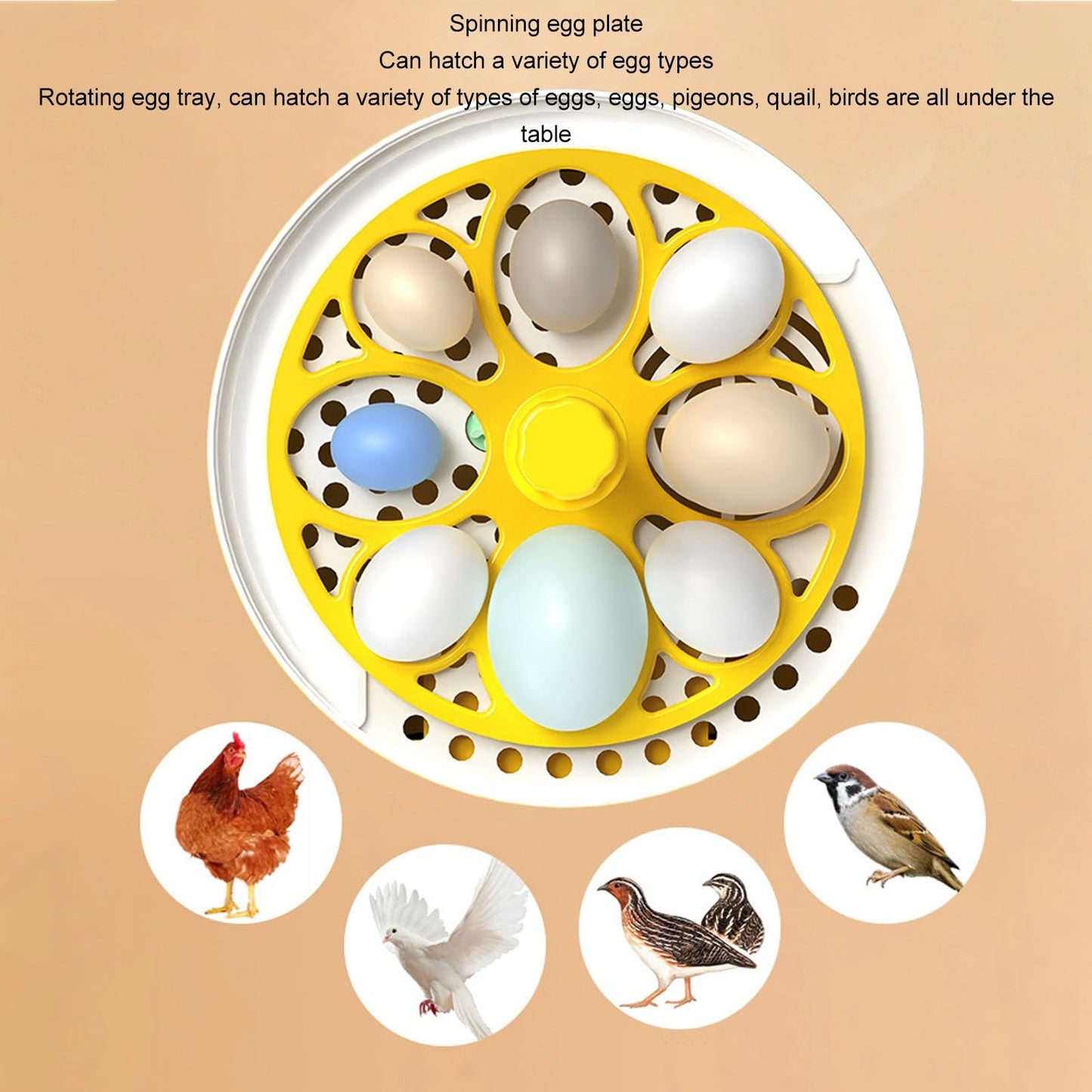 Yosoo Chicken Incubator, Mini Egg Incubator for Hatching 4 Eggs, Portable Egg Hatcher for Chicken, Duck, Goose, with Clear Window (Auto Turning)