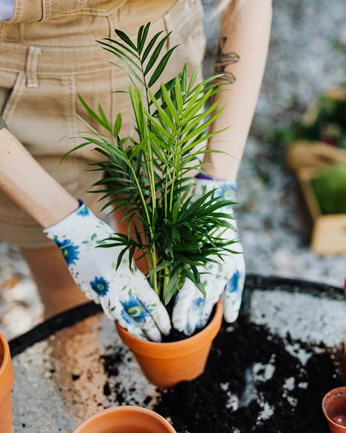 GARDENERA Palm Tree Potting Mix - The Ultimate Soil for Strong and Healthy Palms - Top Choice for Palm Tree Growers [10 Quart Bag]