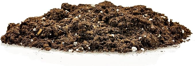 GARDENERA Money Tree Potting Soil - 10 Quart - Soil Mix for Planting or Repotting Guiana Chestnut, Blended Mix to Properly Grow Money Tree Plants (2 Bags of 5 Quart)