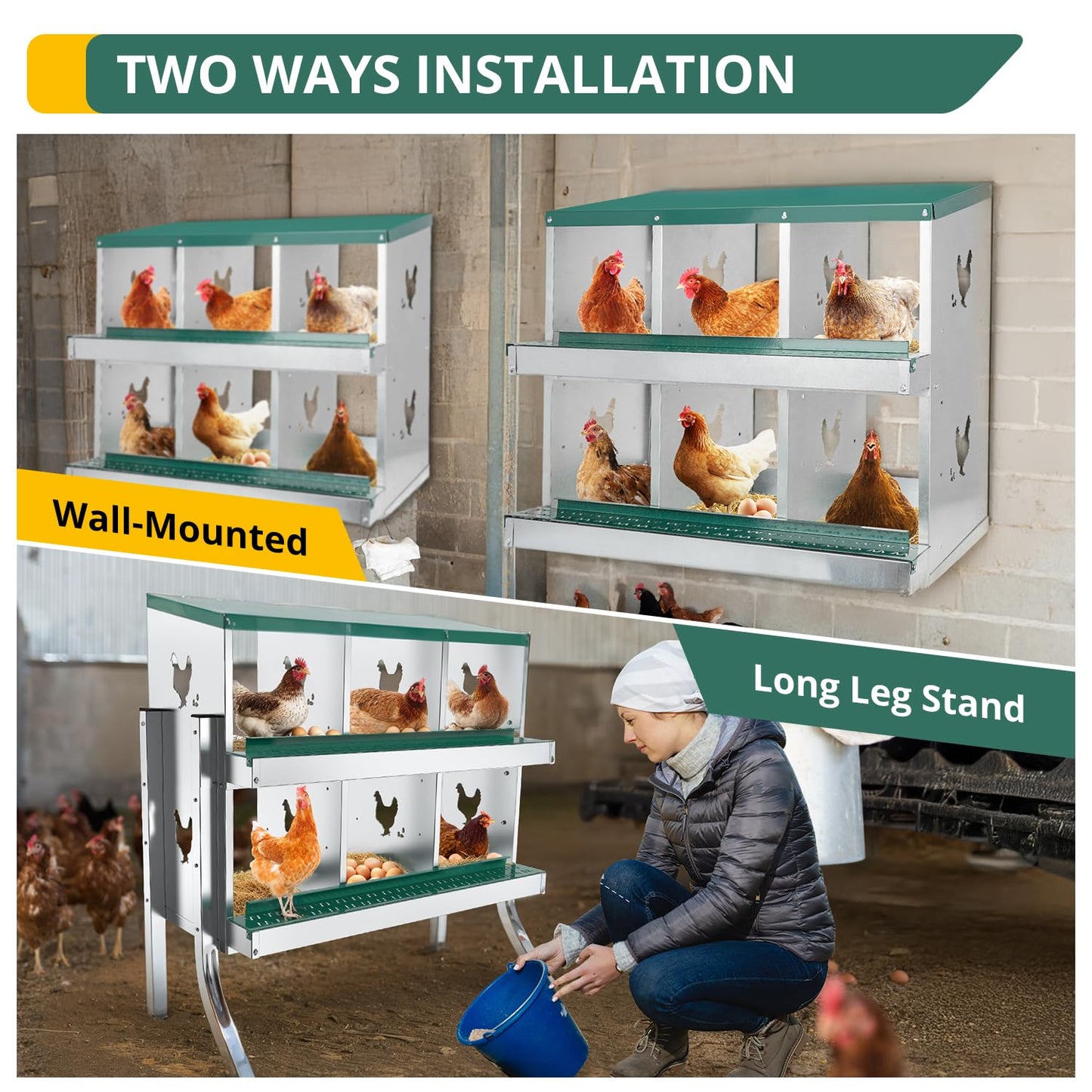 POWLAB 6 Compartment Chicken Nesting Box - Heavy Duty Metal Coop with Roll Away Egg Collection, Perch, Lid Cover for Egg Protection - Wall Mount/Free Standing Nest Box for Chickens, Hens, Ducks