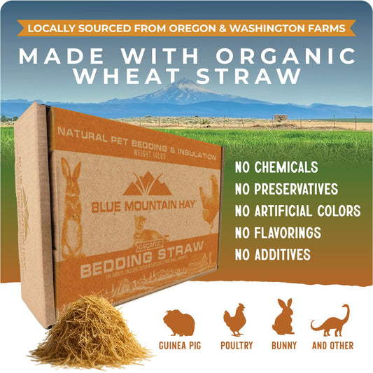 Blue Mountain Hay | Organic Bedding Straw (5 lb) | Natural Pet Bedding & Insulation for Rabbits, Guinea Pigs, Goats, Chickens, Stray & Feral Cats, and Small Animal Shelters