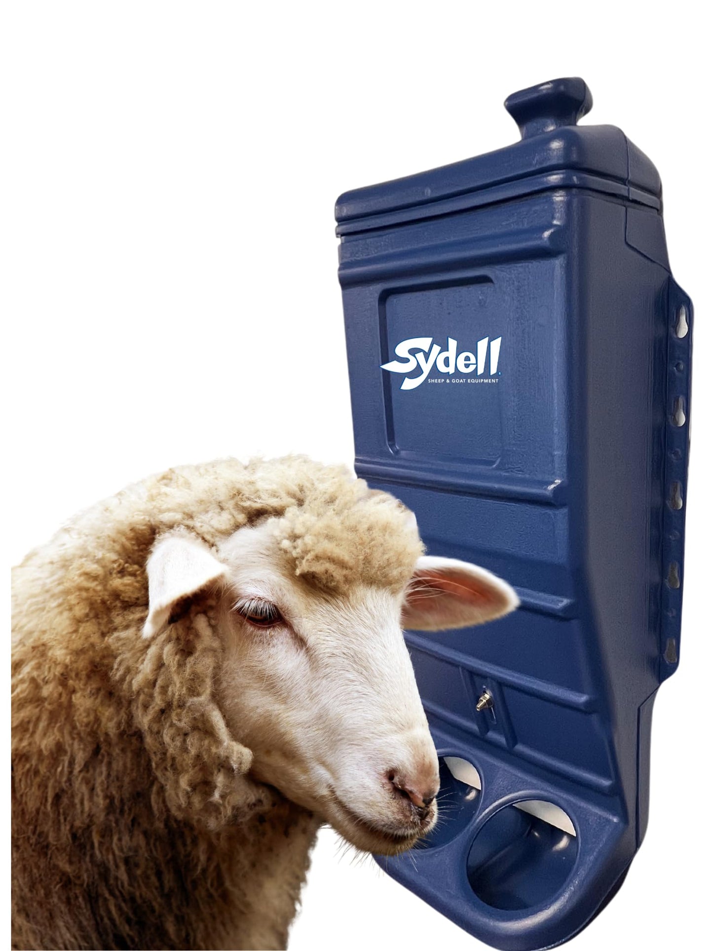 Sydell Sheep and Goat Grain Mineral Feeder, Large Outdoor Forage Grain Feeding System, Supports Up to 10 Small Livestock, Weather Resistant Heavy-Duty Plastic, Fence Mounted