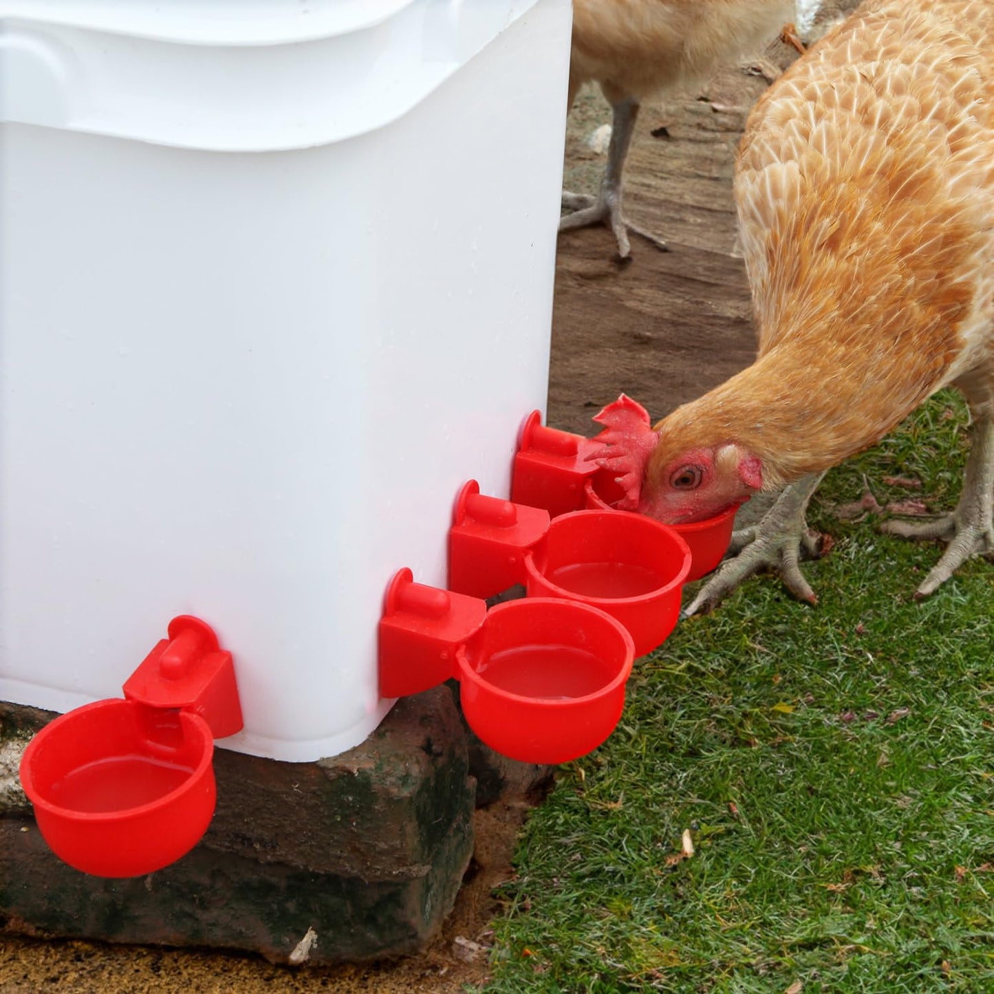 Chicken Feeder No Waste Automatic Poultry Feeder DIY Chicken Feeders and Waterer Set 6 Chicken Feeders Ports Auto Chicken Feeder Kit
