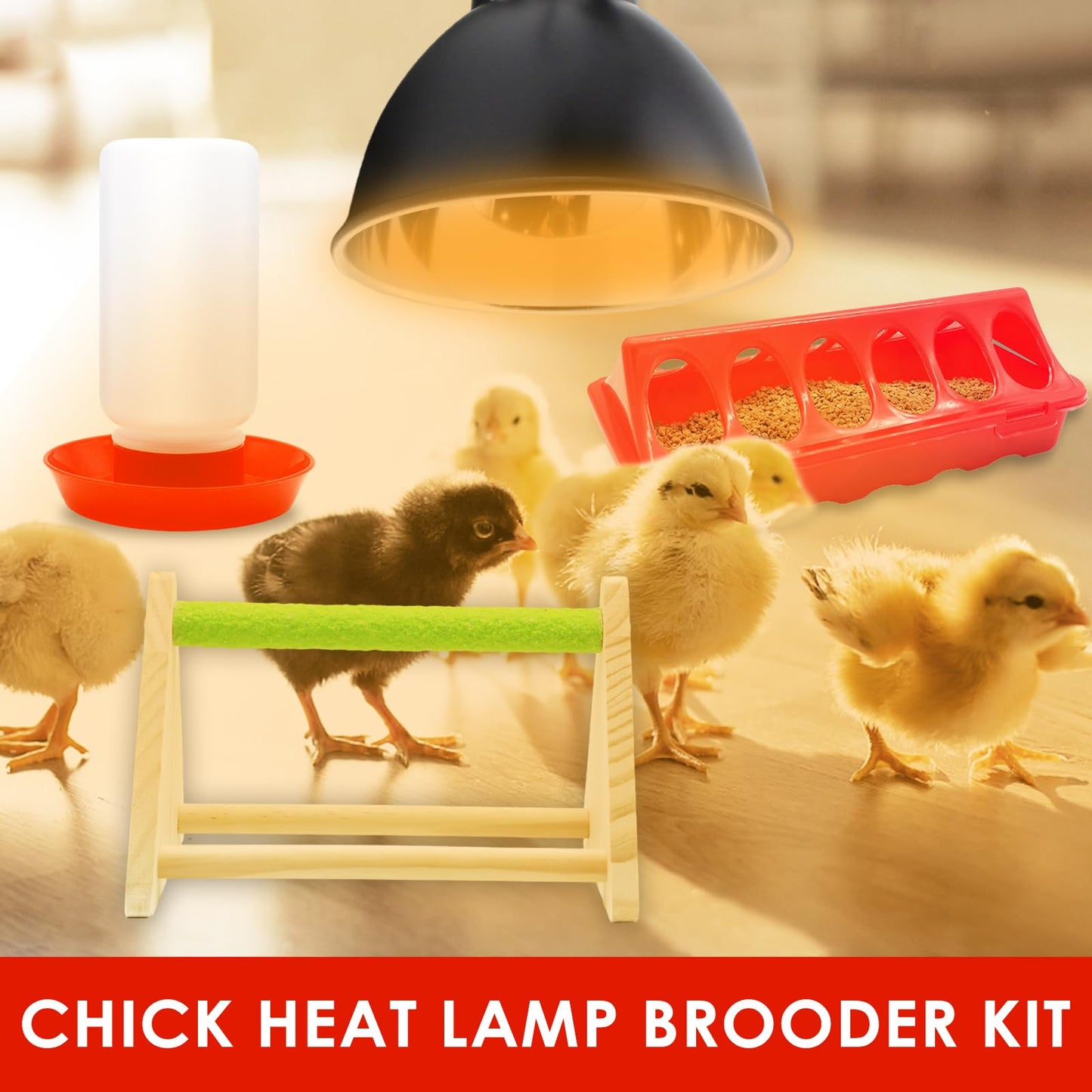 GIFANK Chick Feeder and Waterer Kit with 75W Heat Lamp, Chick Perch, Flip Top Poultry Feeder, Baby Chick Starter Kit for Chick Brooder, Baby Chicken Supplies for Baby Chick, Duck and Quail