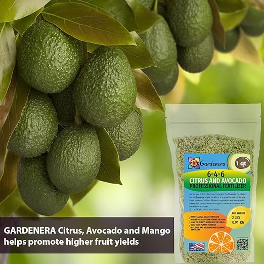 𝐁𝐄𝐒𝐓𝐒𝐄𝐋𝐋𝐄𝐑 6-4-6 Avocado Citrus Tree Plant Food for Outdoor/Indoor Gardening | Quick-Release Nitrogen Fertilizer | Orange, Lime, Avocado and Lemon Tree Fertilizer (2 Quarts)