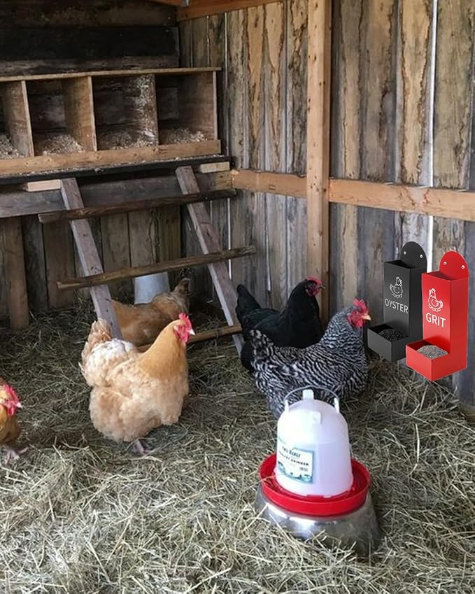 Chicken Oyster Shell Feeder and Grit Feeder Metal Chicken Feeder Chicken coop Accessories Automatic Chicken Feeder