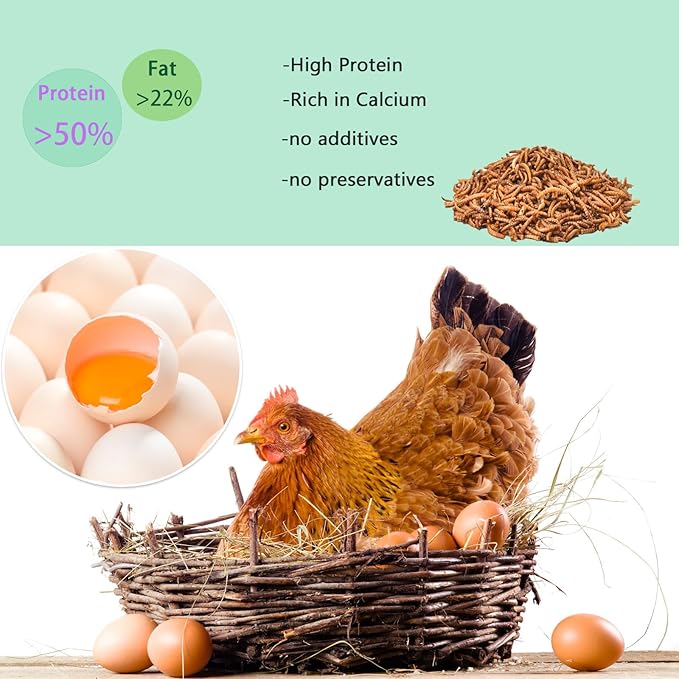 Dried Mealworms 2LB-High Protein Chicken Feed,More Protein,No Additives,Premium Organic Non-GMO,Rich in Protein Meal Worms for Chickens,Wild Birds,Laying Hens,Turkeys-Nutrient-Rich Mealworms