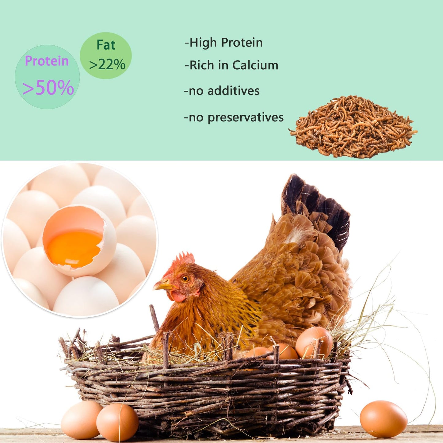 FCI GRUBS Dried Mealworms 5LB-High Protein Chicken Feed,More Protein,No Additives,Premium Organic Non-GMO,Rich in Protein Meal Worms for Chickens,Wild Birds,Laying Hens,Turkeys-Nutrient-Rich Mealworms
