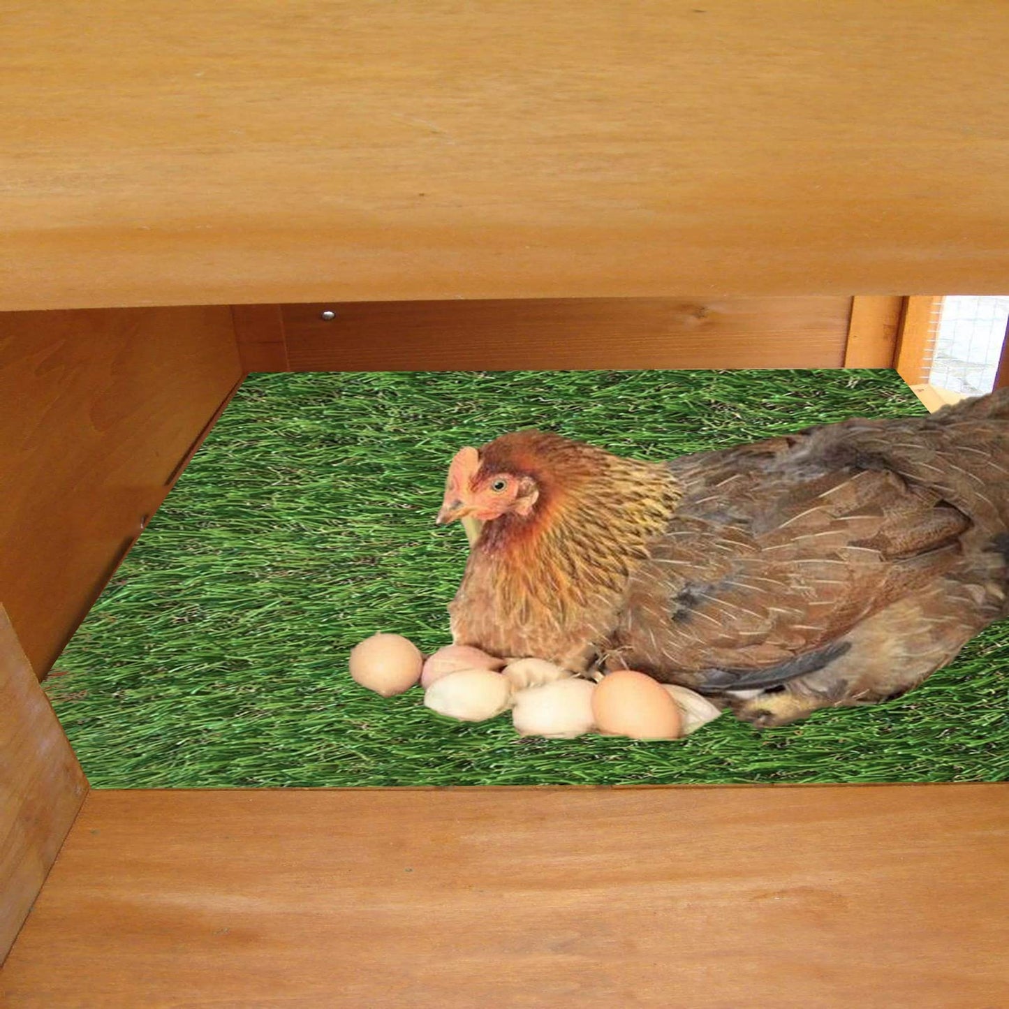 MUYG Chickens Nesting Box Pads 6 Pcs Washable Fake Turf Mats Grass Carpet Reusable Hens Nest Boxes Pad Chicken Coop Bedding for Laying Eggs (12 x 12 x 0.78 Inches)