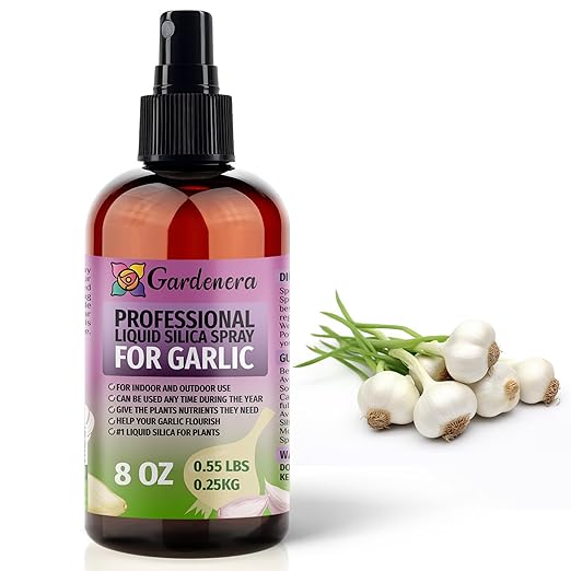 𝐒𝐔𝐏𝐄𝐑𝐈𝐎𝐑 Liquid Silica Boost Fertilizer and Supplement Spray for Garlic Plants – Pre-Mixed, Ready-to-Use Liquid Silicon Plant Superfood Mist for Indoor & Outdoor Plants – 8oz