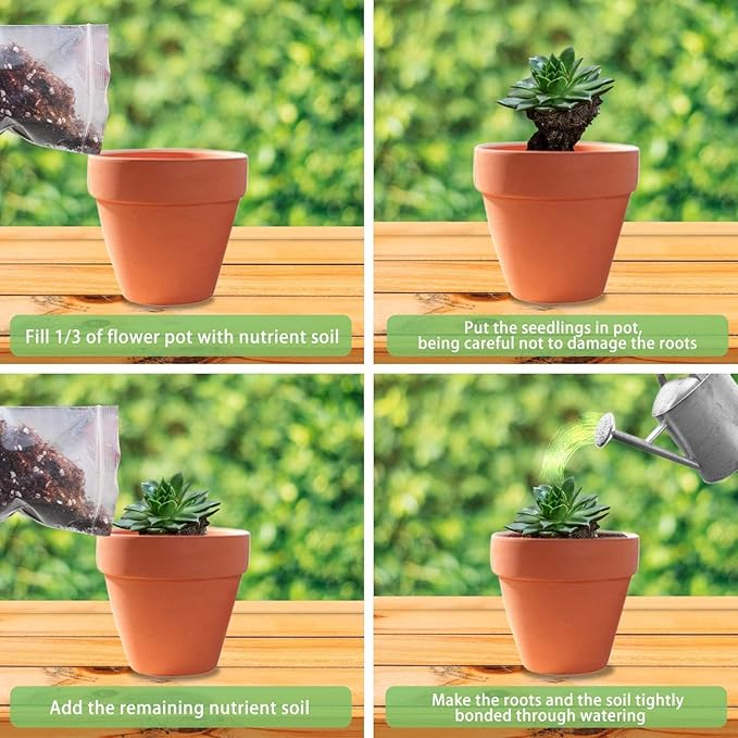 Halatool 3QT Premium Aloe Plant Potting Mix Garden Top Succulent Soil for Indoor & Outdoor Plants Bonsai Aloe Vera Houseplants Flowers Vegetables & Herbs (packaging may vary)