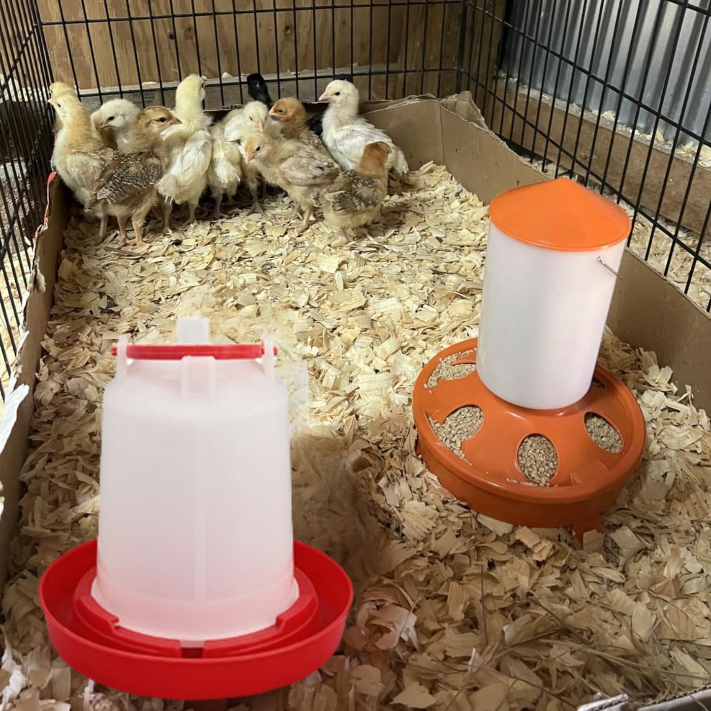 DoubleWood 4PACK Plastic Poultry Drinker Chick Waterer Kit 1 L Waterer Hanging Poultry Water Container (4)