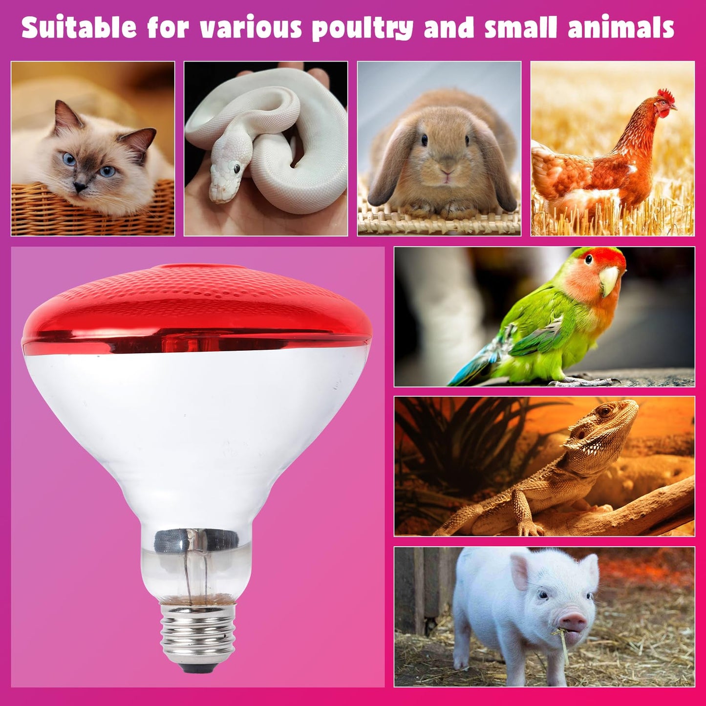 LUCKY HERP Infrared Heat Lamp for Chickens - 250 Watts Red Heat Lamp Bulb 1 Pack, Heat Light Bulb for Brooder Coop, Food Service, Chicks, Pet, Reptile