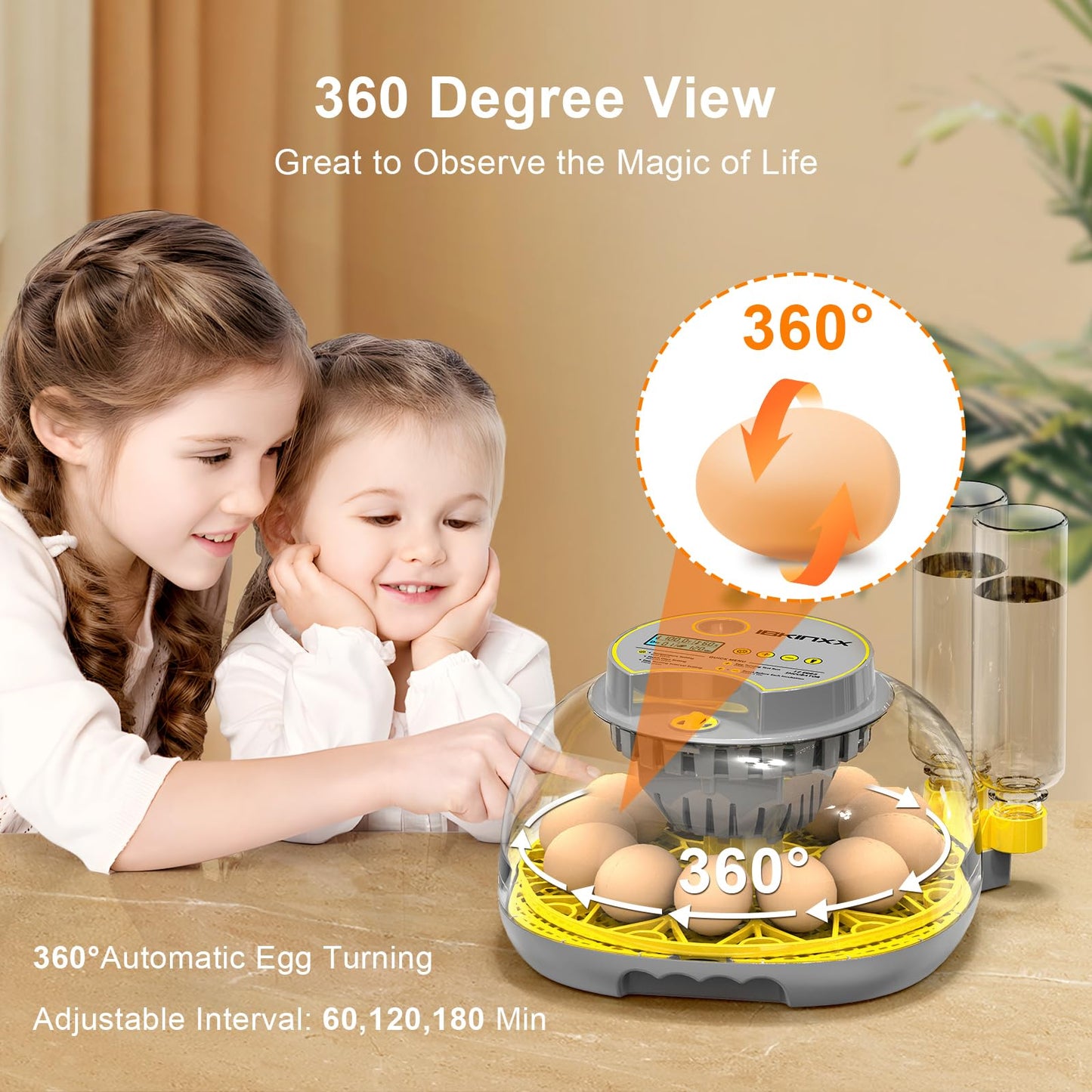 IBKINXX Incubator for Hatching Eggs-12 Egg Capacity, Automatic Egg Turner, Temperature & Humidity Control, 360° Viewing for Chicken, Duck and Quail Eggs