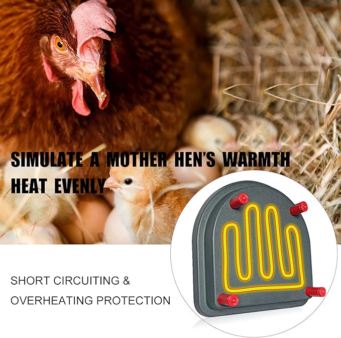 Chick Duckling Brooder Heating Plate- Chicken Coop Brooder Heater Like Mother Hen,Safer Than Brooder Lamps Heater -Warm Up to 15 Chick,Ducklings(Chick Brooder Heating Plate)