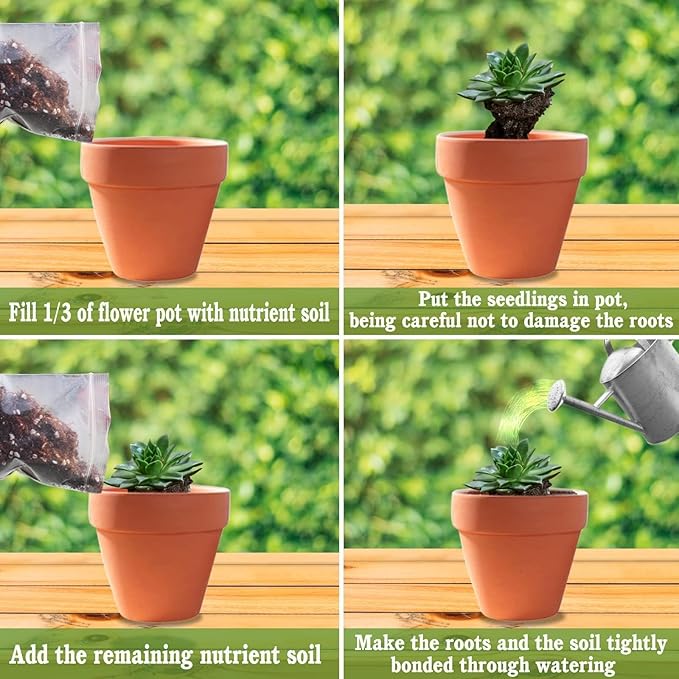 Halatool 6QT Natural Cactus Soil Garden Top Succulent Soil for Houseplants Bonsai Potting Mix Indoor Potting Soil for Aloe Vera Plant Flowers Vegetables & Herbs