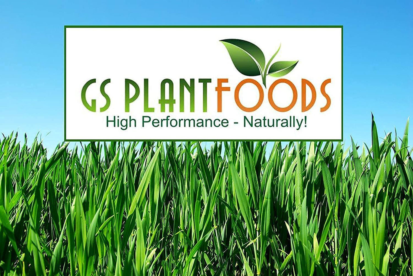 GS Plant Foods Root Ruckus Compost Fertilizer Organic Plant Food - Turbo Charged Compost for Plants - Humic Acid & Sea Kelp Nutritional Root Supplement for Lawns, Soil, Shrubs & Vegetables - 5 Gallons