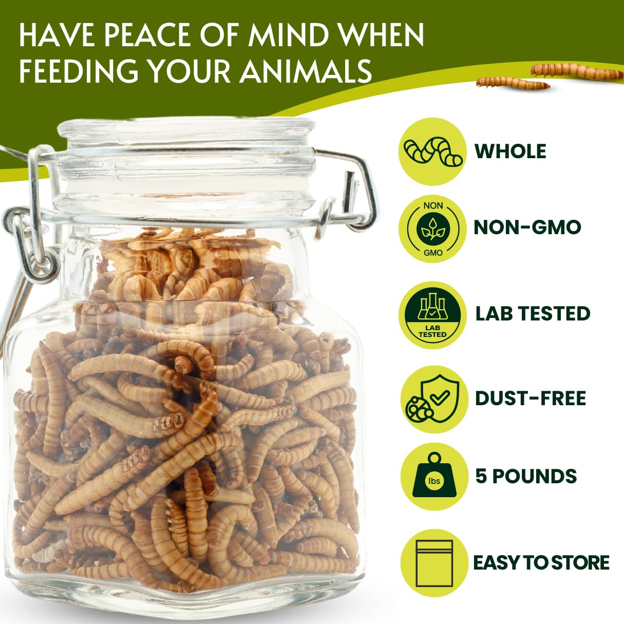 PICKY NEB Dried Mealworms 100% Non-GMO 5 Lb - Mealworms for Birds, Chickens, Ducks - Perfect High-Protein Treats - Whole Large Meal Worms, Dried for Chickens and Bluebird Food Bulk