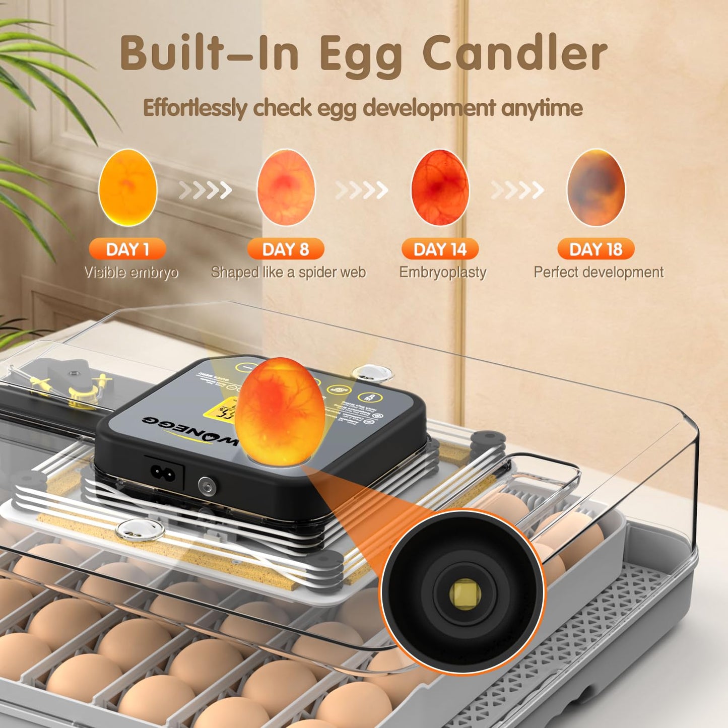Egg Incubator Incubator for Hatching Eggs 48 Eggs for Lab Home Farm with Automatic Egg Turning 360° Egg Candler Viewing for Chicken, Ducks, Goose, Quail