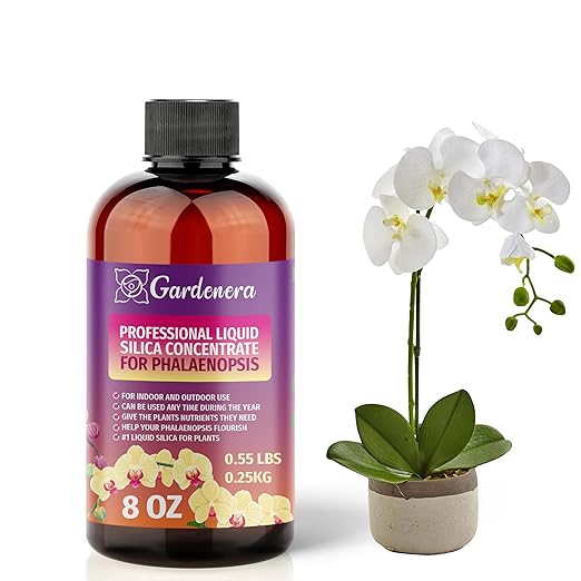 𝐏𝐑𝐄𝐌𝐈𝐔𝐌 Liquid Silica Plant Supplement - 8oz (250mL) - PHALAENOPSIS Plants Liquid Silica Boost Fertilizer - Stronger Stems & Healthy Leaves for Indoor & Outdoor Orchid Plants (Makes 45 Gallons)