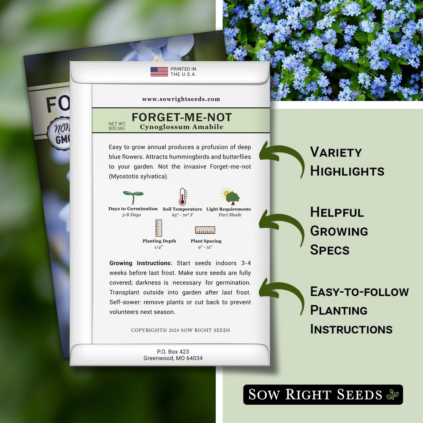 Sow Right Seeds - Forget-Me-Not Flower Seeds for Planting (Cynoglossum amabile) - Non-GMO Heirloom Packet with Instructions - Great to Pair with Cards of Remembrance - Small Blue Memory Blooms (100)