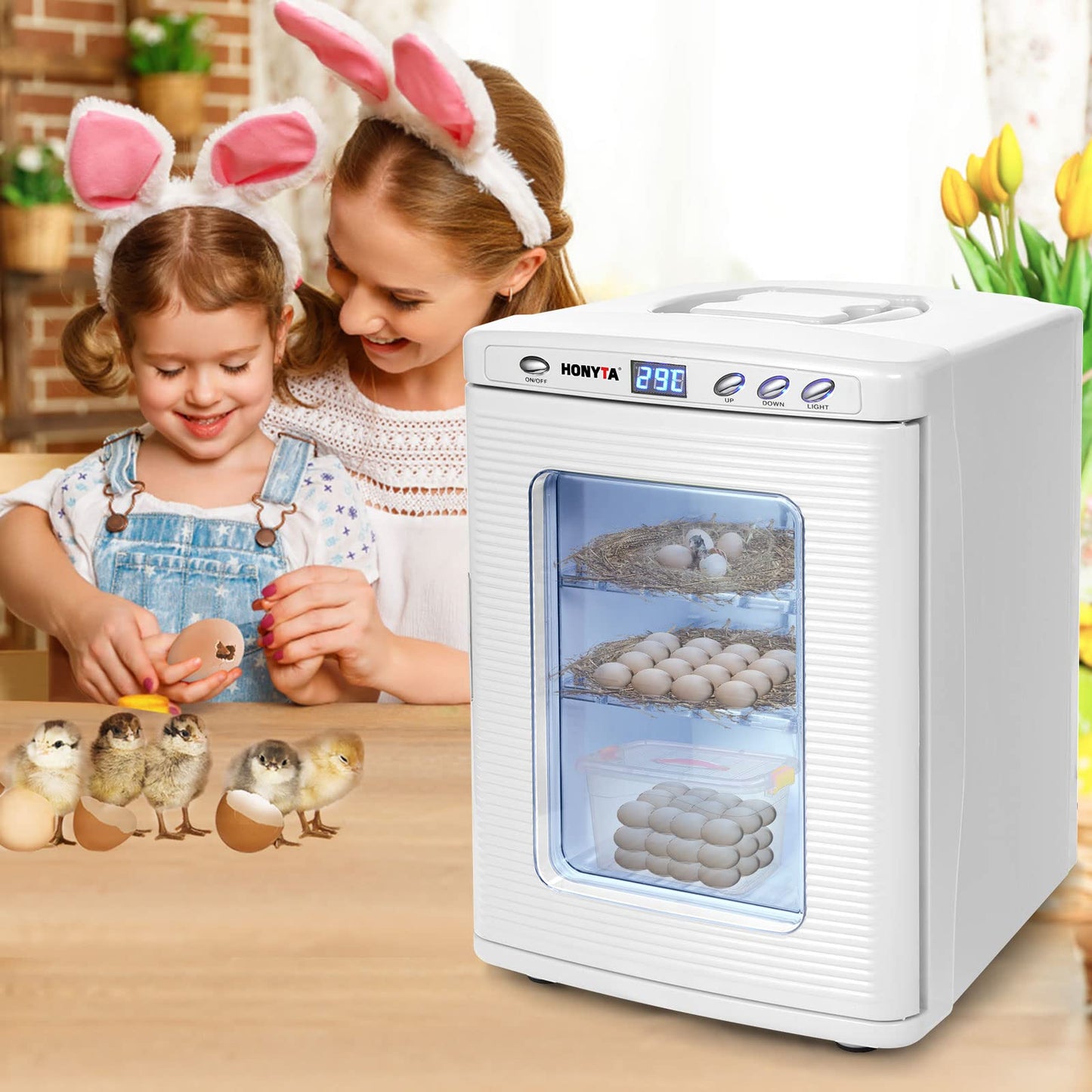 RYFT Incubators for Hatching Eggs, 25L Portable Reptile Scientific Lab Incubator with 5°C-60°C, 12V/110V Heating and Cooling for Small Reptiles (White)