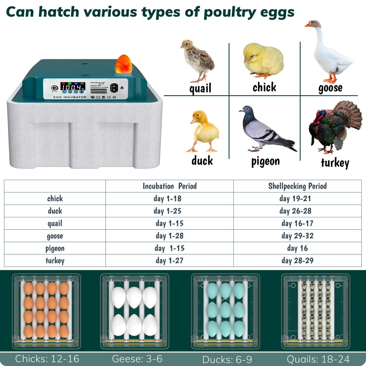 Hethya Egg Incubator, Egg Incubator with Automatic Egg Turning and Automatic Water Addition, 12-16 Eggs Incubator with Egg Candler, Incubator for Chicken Eggs Duck Eggs Quail Eggs