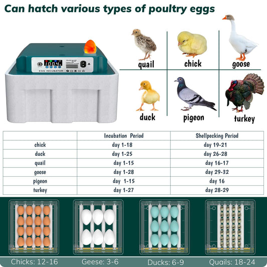 Hethya Egg Incubator, Egg Incubator with Automatic Egg Turning and Automatic Water Addition, 12-16 Eggs Incubator with Egg Candler, Incubator for Chicken Eggs Duck Eggs Quail Eggs