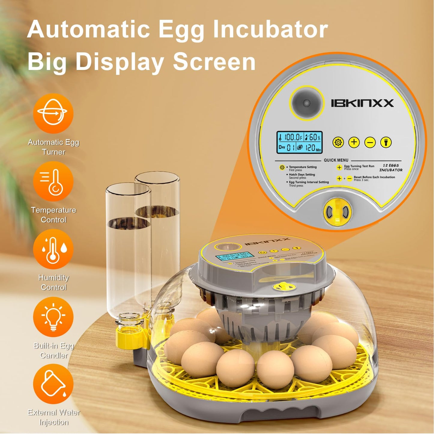 IBKINXX Incubator for Hatching Eggs-12 Egg Capacity, Automatic Egg Turner, Temperature & Humidity Control, 360° Viewing for Chicken, Duck and Quail Eggs