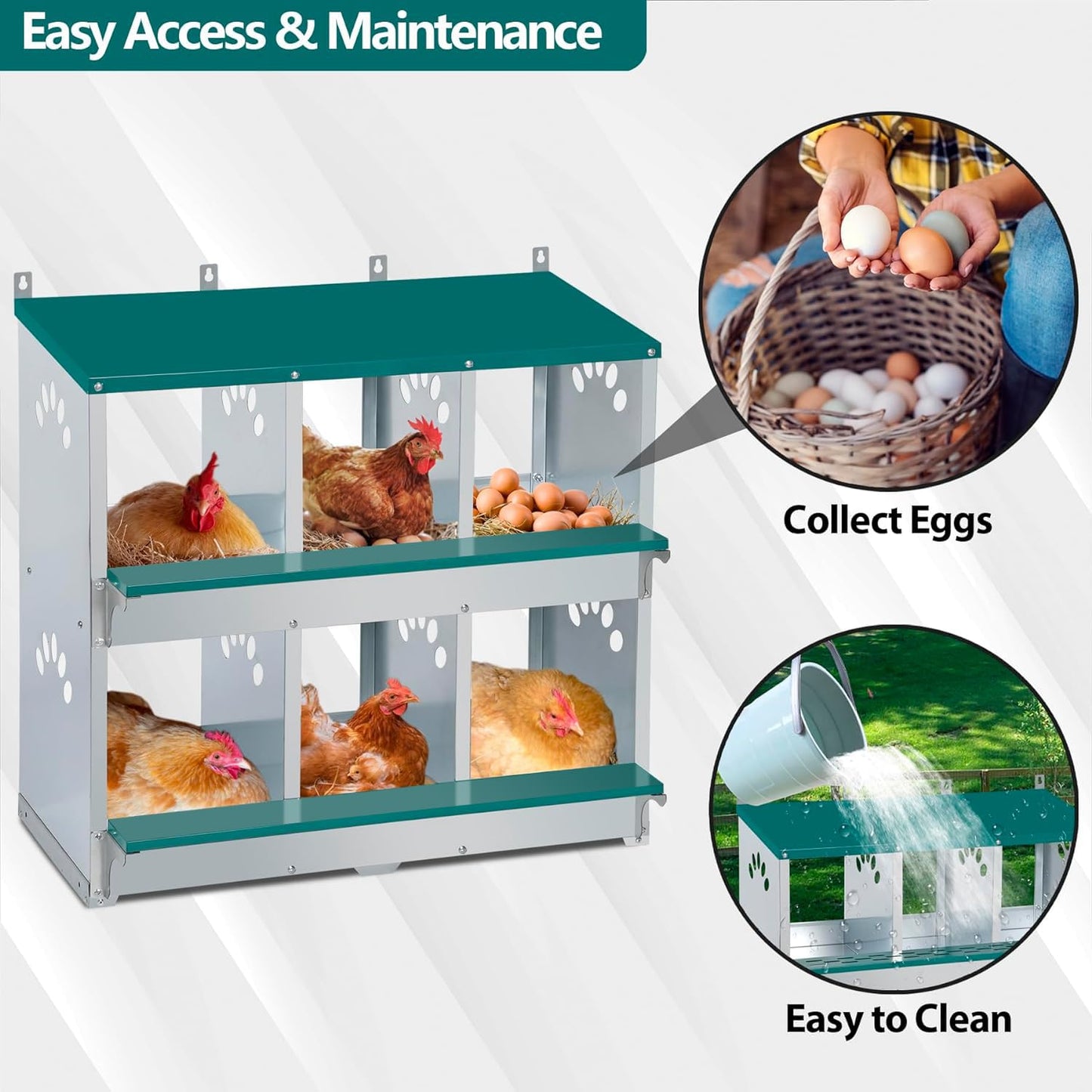 Toriexon Chicken Nesting Box, 6 Compartment Metal Nesting Box, 6 Room Wall Mountable Nesting Boxes for Chicken, Green