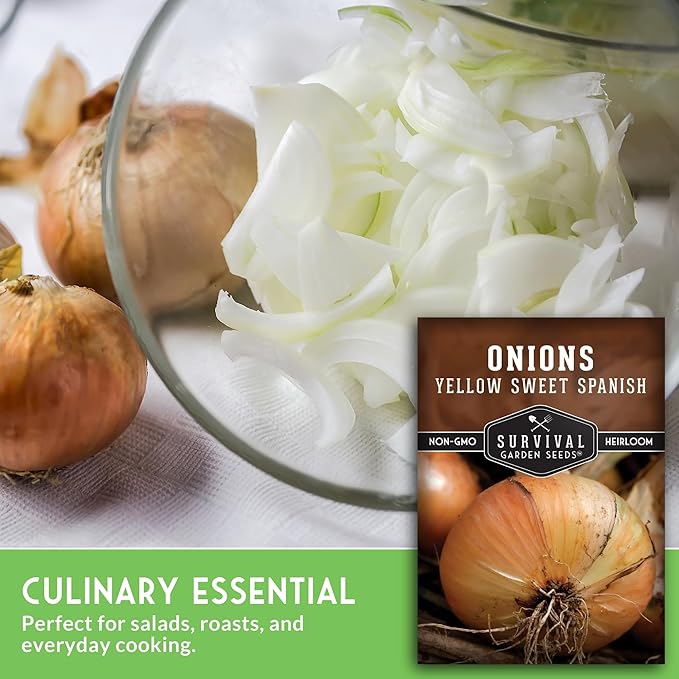 Yellow Sweet Spanish Onion Seed for Planting - 2 Packets with Instructions to Plant and Grow Long Day Onions in Your Home Vegetable Garden - Non-GMO Heirloom Variety - Survival Garden Seeds