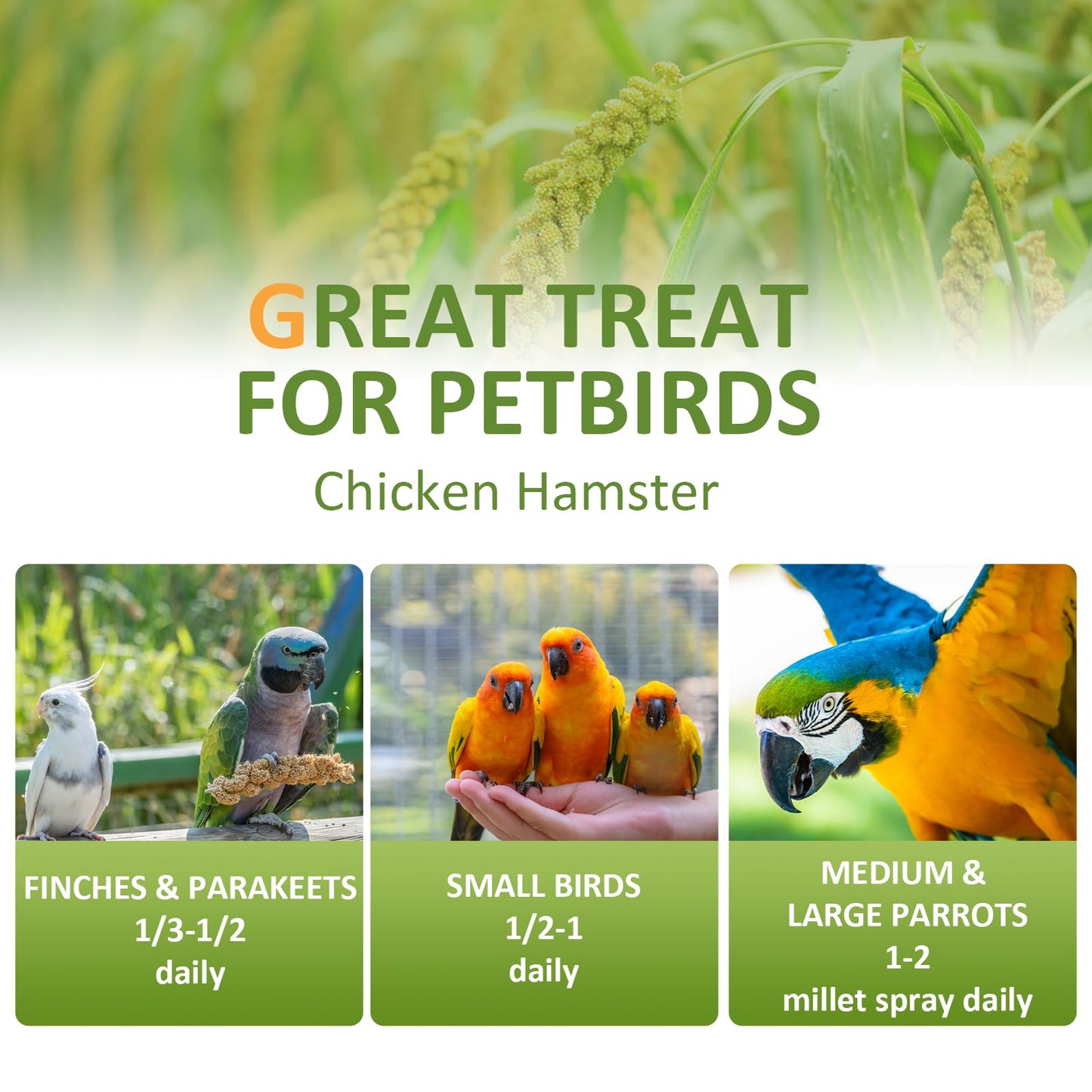 HATORTOP Spray Millet for Birds 5LB - All Natural Sun-Dried Healthy Treat, Millet Spray for Parakeets, Parrots, Lovebirds, Cockatiels Food, 100% Non-GMO High Protein Fresh Bird Seed