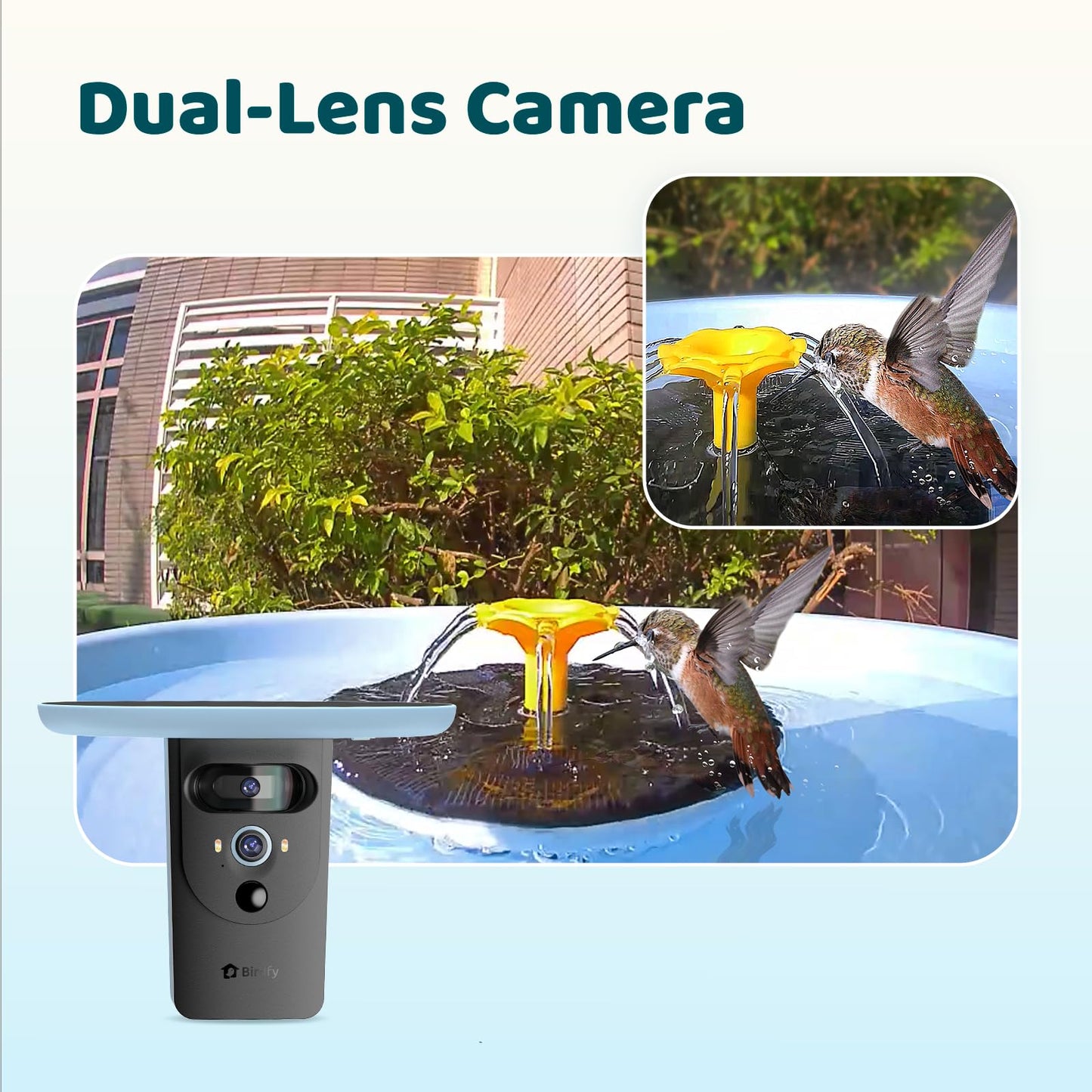 Birdfy Smart Bird Bath with Camera Solar Powered & Fountain & Stand, Dual-Lens Camera for Wildbird Watching, Auto Capture Bird Videos & Motion Detection (AI Lifetime)