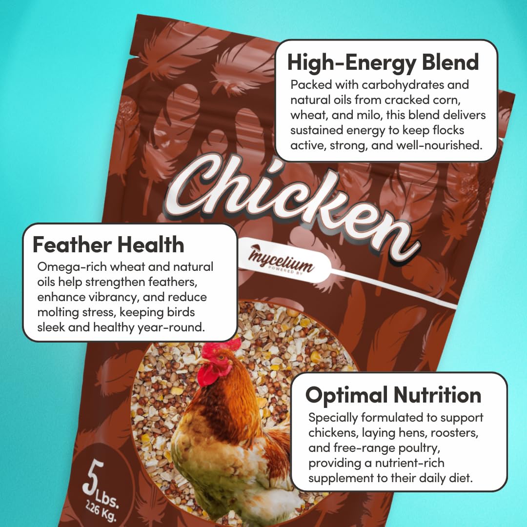 Mycelium Organic Chicken Scratch (5 lb Bag) | Non-GMO Chicken Feed | Natural Multigrain Blend for Poultry Bird | Supports Digestion & Energy | Dust Free Mix, Made in USA