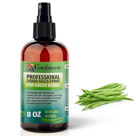 𝐒𝐔𝐏𝐄𝐑𝐈𝐎𝐑 Liquid Silica Boost Fertilizer and Supplement Spray for Green Beans Plants – Pre-Mixed, Ready-to-Use Liquid Silicon Plant Superfood Mist for Indoor & Outdoor Plants – 8oz