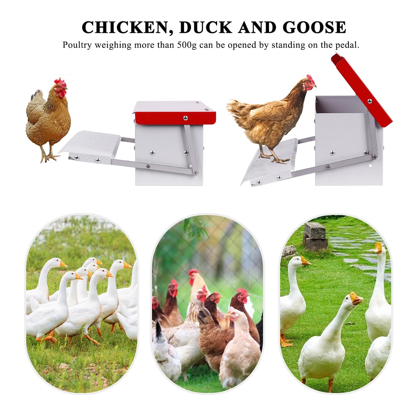 PAULOZYN 9L Automatic Chicken Feeder Treadle Rat Proof Metal Galvanized Poultry Feeders Treadle Chicken Feeder with Weatherproof Lid for Duck Turkey Outside No Waste