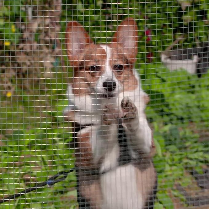 48"x100' Hardware Cloth, 1/2inch 19Ga Hot-Dip Galvanized After Welding Chicken Wire Fence, Galvanized Wire Mesh Roll Prevent Snake, Raccoons, Foxes, Raised Garden Bed Supports Wire Mesh