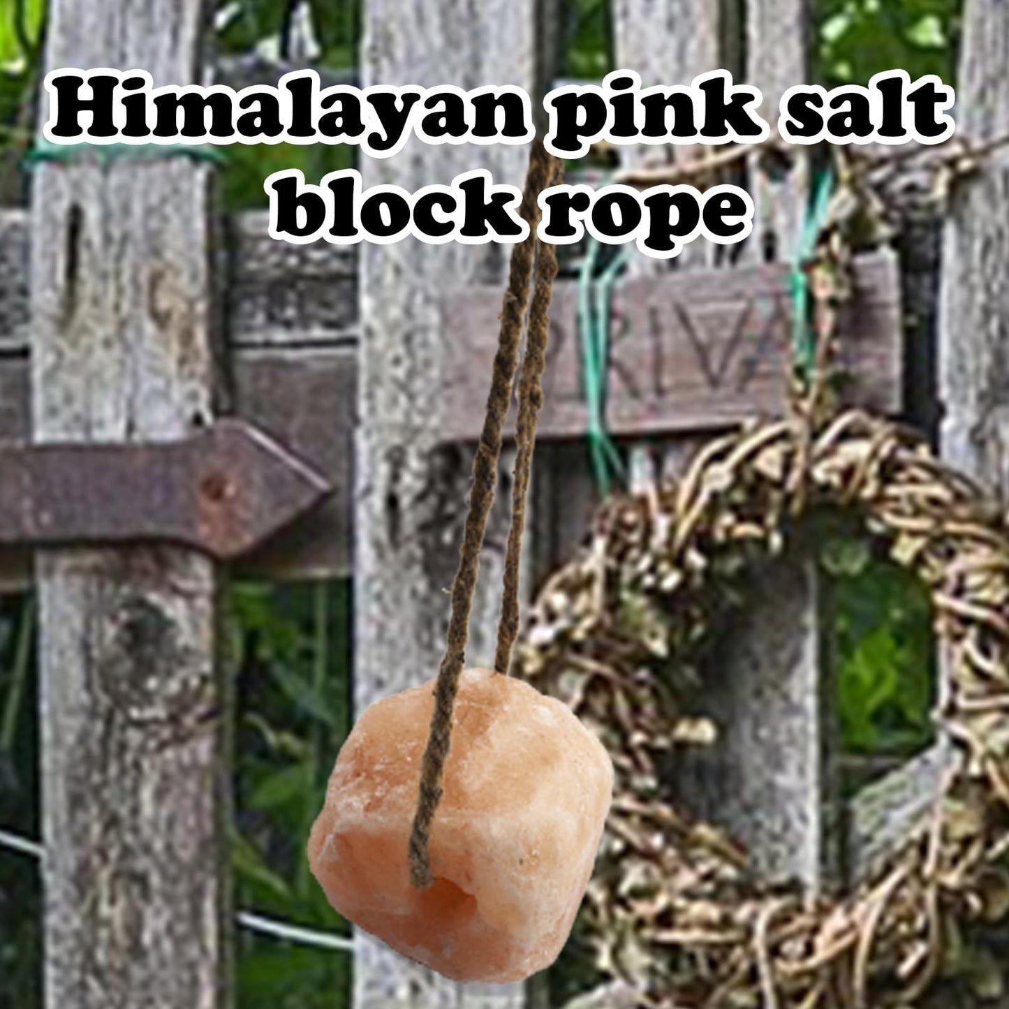 MUYG Himalayan Salt Lick Natural Minerals Block on Rope for Horses,Cattles,Deer,Goat and Other Livestock Long Lasting Original Pink Salt Lick (2.4-3.3 lbs)