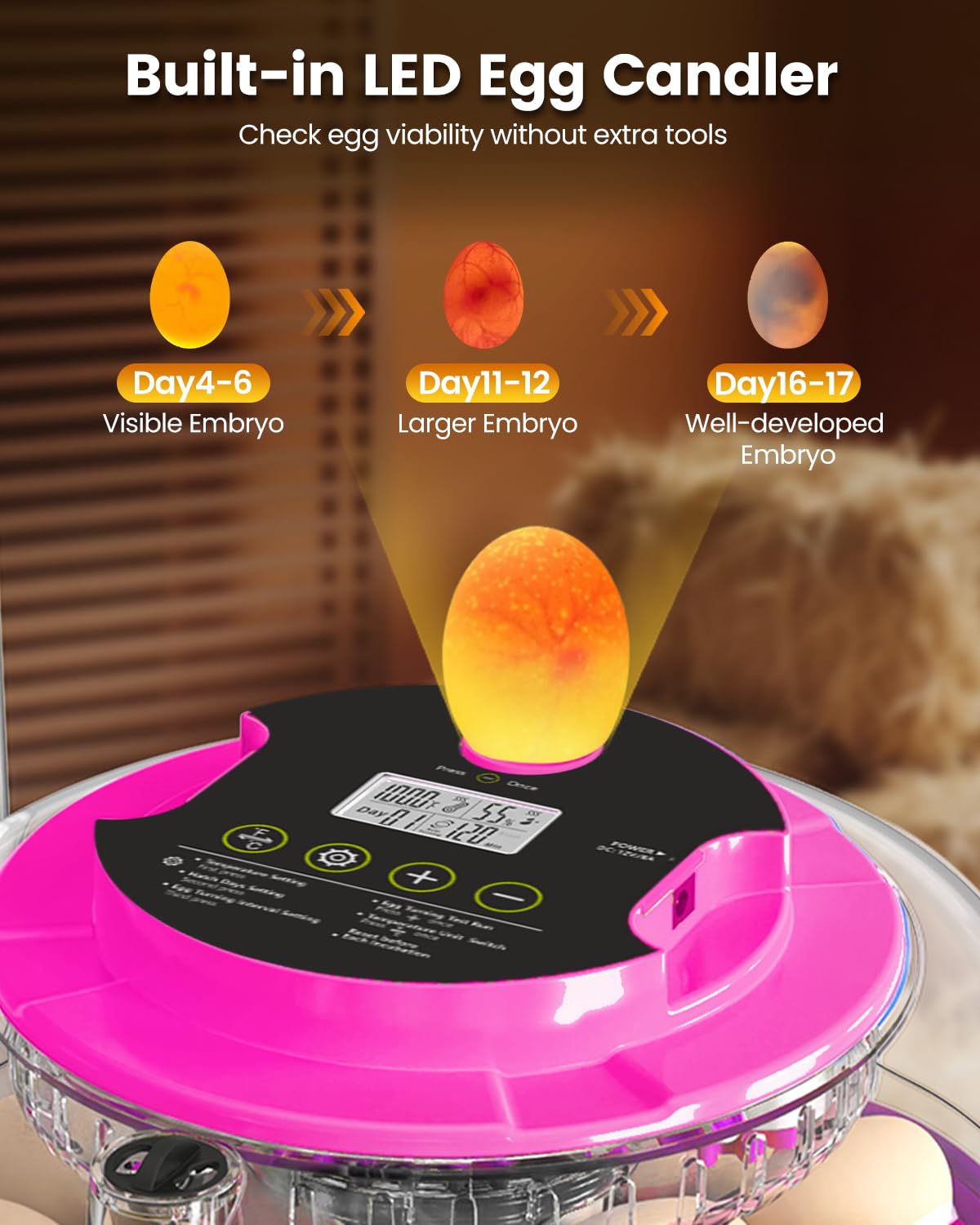 Incubator for Hatching Eggs, 18 Eggs Capacity, Incubators with Egg Candler, Automatic Egg Turner, Temperature & Humidity Control, Full Viewing for Chicken, Duck, Quail, Goose, Parrot, Pigeon