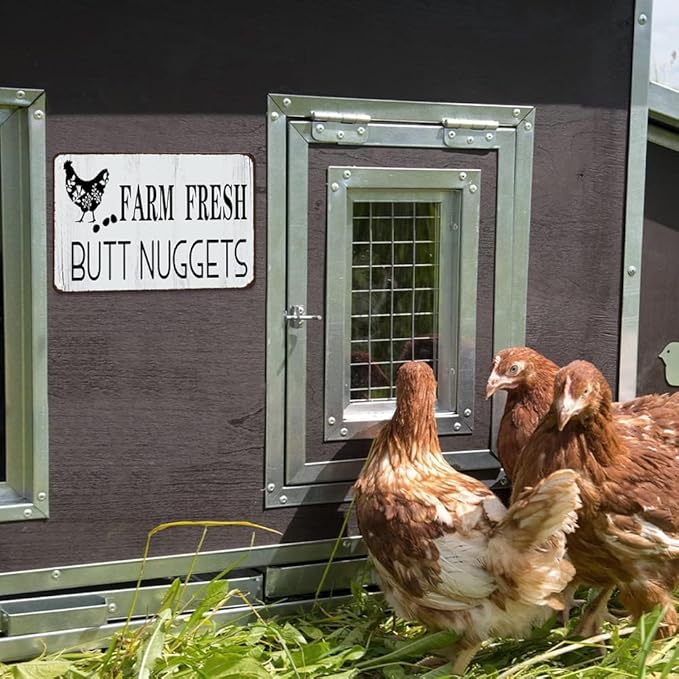 Funny Chicken Gifts Chicken Farm Fresh Butt Nuggets Tin Sign for Home Farm Chicken Coop Farmhouse Kicthen Garden Decor 8 X 12 Inch (3189)