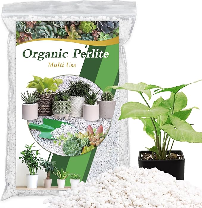 Organic Perlite for Plants, Enhances Soil Drainage and Aeration, Perfect Perlite for Plants Indoor & Outdoor, Horticultural Perlite for Gardening, Perfect for Potting Mixes, 2QT