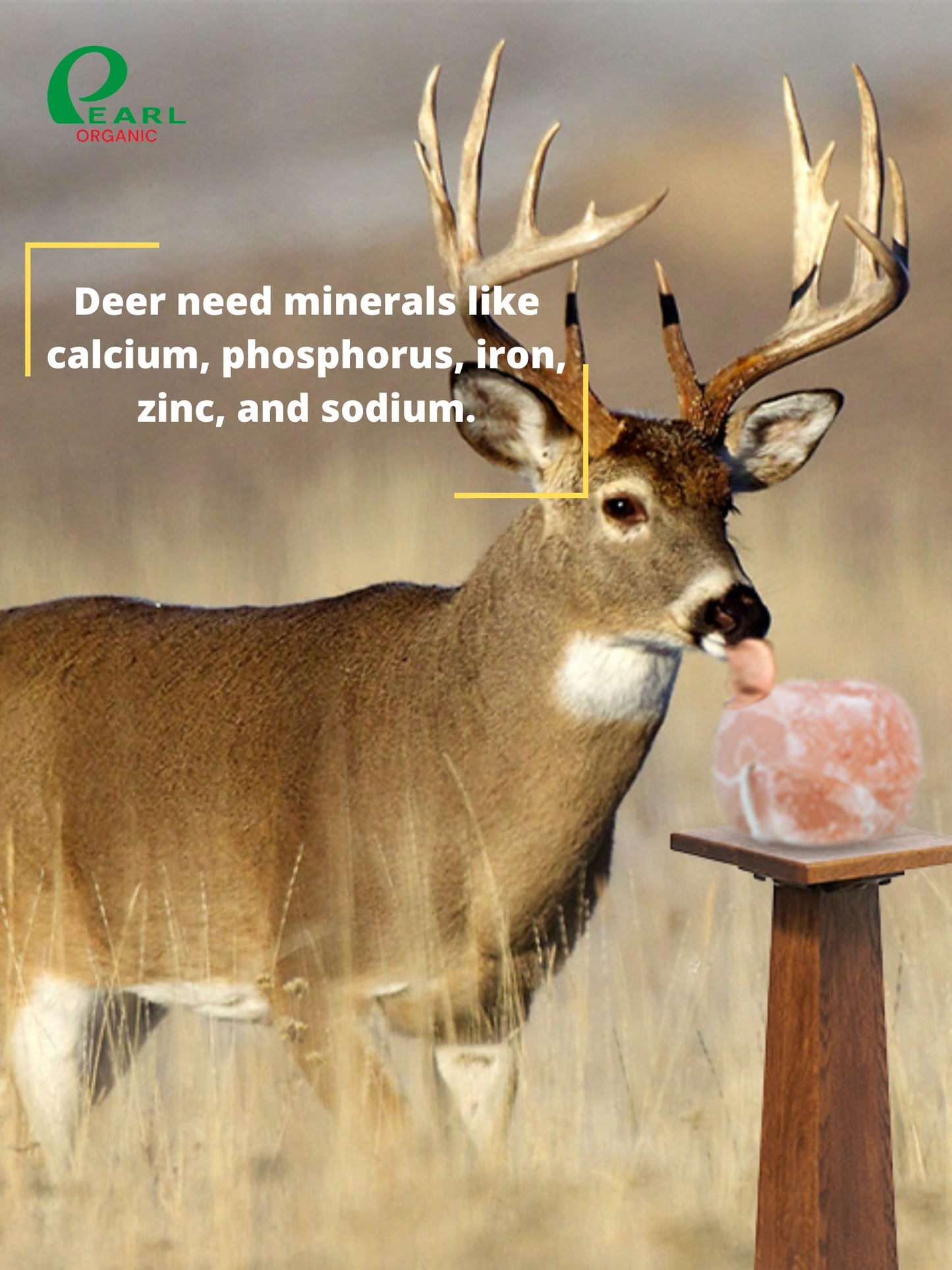Pearl Organic New 8 lbs Animal Himalayan Salt Lick on Rope for Horses, Deer, Rabbits, Cows and Other Livestock | Lick Salt for Deer | Digestive Aid for Animals | Horse Treats (8 lbs)