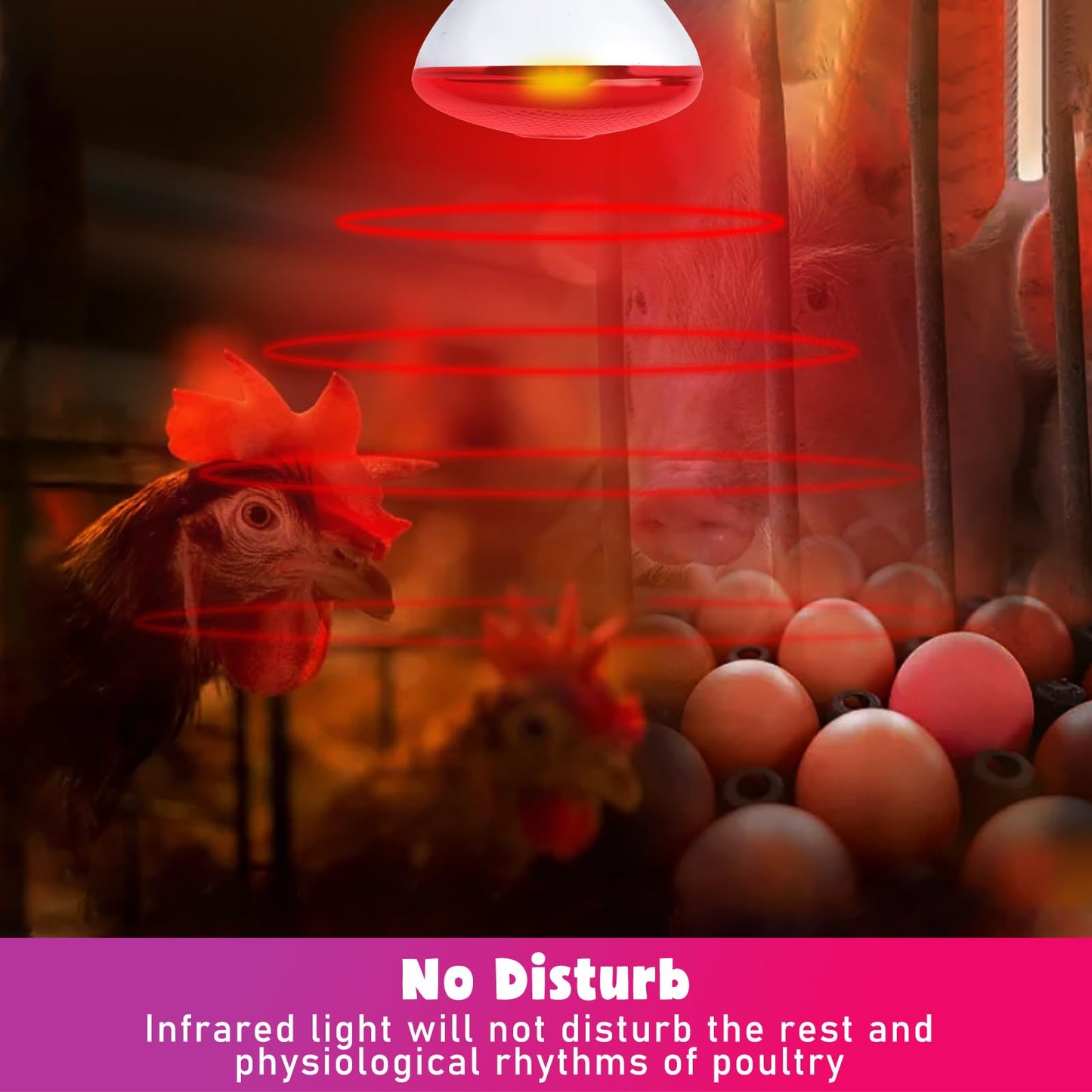 LUCKY HERP Infrared Heat Lamp for Chickens - 250 Watts Red Heat Lamp Bulb 1 Pack, Heat Light Bulb for Brooder Coop, Food Service, Chicks, Pet, Reptile