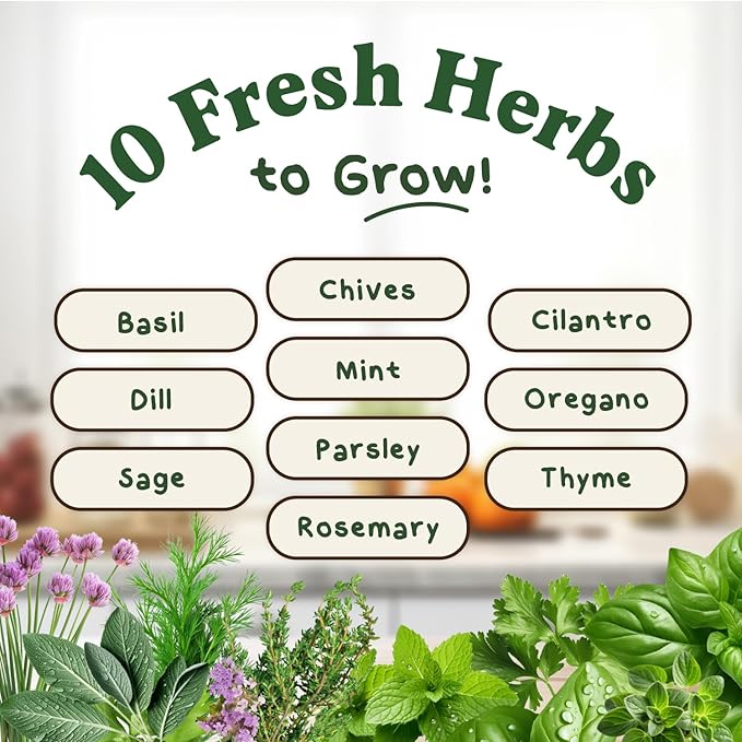 Seedboy Organic 10 Herb Variety Pack: Basil, Cilantro Mint Oregano Parsley Thyme Chives Dill Sage Rosemary for Planting Indoor and Outdoor, 5460 Non-GMO USDA Certified Seeds (10 Herb Variety Pack)