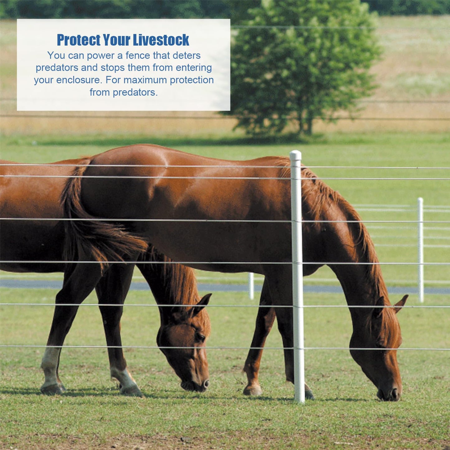 Electric Fence Energizer for Dogs Energizer PE2 0.10 Joule and Spool Aluminum Wire,Livestock Fence Chargers for Containing Dogs, Livestock and Preventing Wild Animals Intruding