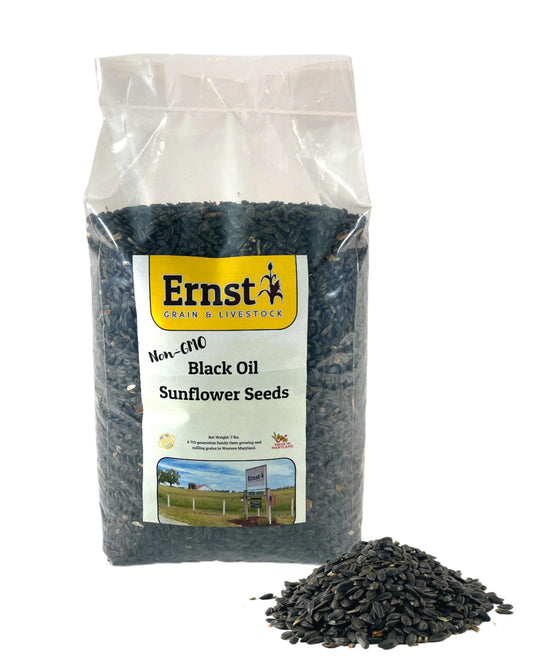 Ernst Grain & Livestock Wholesome Harvest Black Oil Sunflower Seeds - Birdseed for Outside Feeders Wild Bird Food - Ideal Bird Seed for Cardinals, Woodpeckers and More - Non-GMO, 7lb