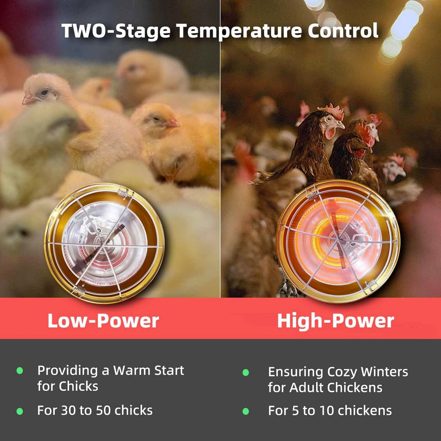 Chicken Coop Heater Inside Coop heat lamp，300 Watt Two-Stage Temperature Brooder Heater for Chicks, Duck，Poultry