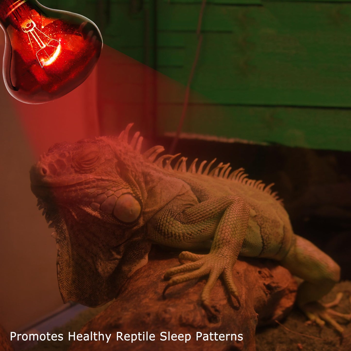HARTOMPET 60W Infrared Red Heat Lamp for Reptiles, Basking Spot Bulb for Pet Lizards, Bearded Dragons, Chameleons & Snakes, Red Heat Emitter Light for Chickens Coop and Brooder Use, E26|2 Pack