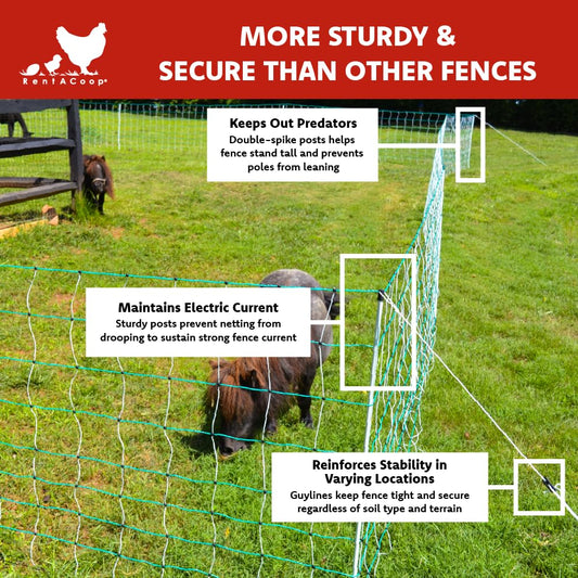 RentACoop Electric Anti-Predator Goat Fence - Suitable for Goats and Larger Animals - Energizer Not Included - 168' L x 42" H
