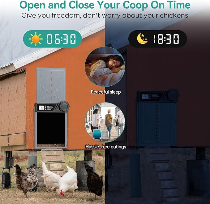 Large Automatic Chicken Coop Door, Aluminum Automatic Chicken Door with Manual & Timer Mode, Anti-Pinch & Battery Powered, LCD Display Chicken Door for Chickens, Ducks, and Geese